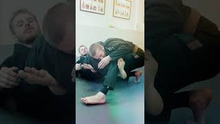 🎥 3 Omoplata Finishes in the Gi bjj bjjlifestyle grappling [upl. by Llerrahs910]