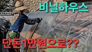 단돈1만원으로 초간단 꽃하우스 만들기ㅡ겨울월동준비 끝ㅡ [upl. by Leiahtan]