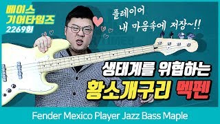 펜더 Fender Mexico Player Jazz Bass Maple [upl. by Ecydnak]