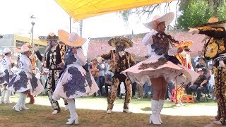 Comparsa Las Calaveras Auténticas  Popurri [upl. by Arerrac479]