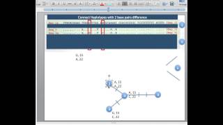 10 Dec Haplotype Networks Reading Guide [upl. by Yllak]