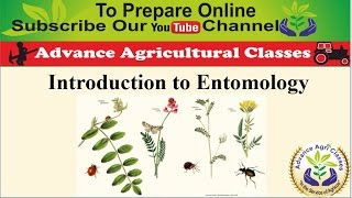 Introduction to Entomology part  1 HindiEnglish Agricultural Field Officer IBPS [upl. by Cornelia]