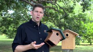 How to Choose the Best Nest Box for Your Birds [upl. by Marelda878]