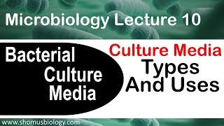 Microbiology lecture 10  bacterial culture media classification types and uses [upl. by Hillell]