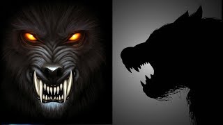 Types of Werewolves [upl. by Judsen]