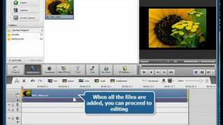 How to apply video effects to a video using AVS Video Editor [upl. by Handbook948]