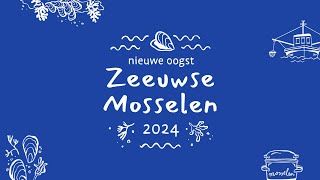 Nieuw seizoen Zeeuwse mosselen 2024 van start [upl. by Eliath560]