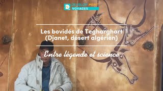 Les bovidés de Tegharghart Djanet désert algérien La vache qui pleure  entre légende et science [upl. by Bonita682]