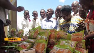 Buyende farmers excited by new seed varieties expecting to reap big [upl. by Eenafit]