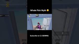 Victor Whale Fish Myth😳 bgmi bgmishortspubgmobile xIr8ayan vipax mythsshorts [upl. by Katherina]