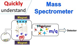 Mass spectrometry [upl. by Kuth]