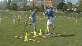 Agility en duelkracht Puberteitsfase [upl. by Werna]