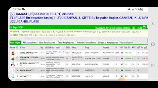 29 Ekim 2024 Salı Adana at yarışı tahminleri  Cumhuriyet bayramı [upl. by Annerb350]