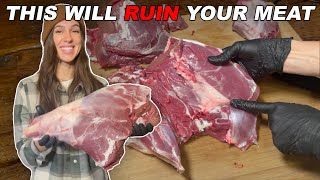 How to Remove the Gland From a Deer Hindquarter  BUTCHER DEER AT HOME [upl. by Dail]