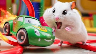 🛑 Hamster Maze with Colorful Traps 🐹 Best Compilation OF Mr Hamster 71 [upl. by Herrod]