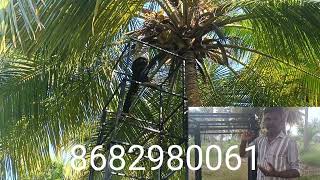 Tree climbing machine Extension ladderlift [upl. by Day823]