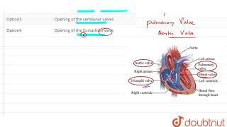 The first heart sound is associated with [upl. by Odrawde]