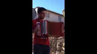 Sou Português Emigrante na Concertina [upl. by Hayifas881]