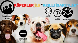 📺 🐕‍🦺Akıllı İşaretler I 🐶🦴Köpekler İle I Semboller ve Anlamları I TV Akıllı İşaretleri📺🐩 [upl. by Anwahs]