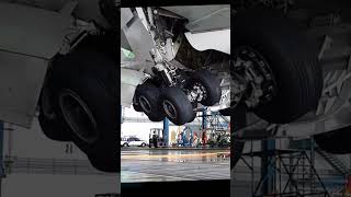 Landing Gear Extension Retraction check aviation automobile usa [upl. by Campman736]