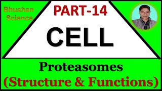 Part 14  Cellular Level of Organization  Proteasomes Structure amp Functions Hindi  B Pharm [upl. by Acile]