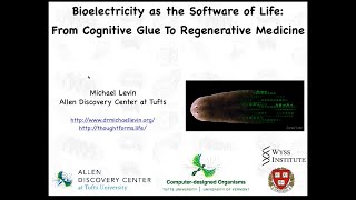 Bioelectricity as the Software of Life from cognitive glue to regenerative medicine [upl. by Tikna]