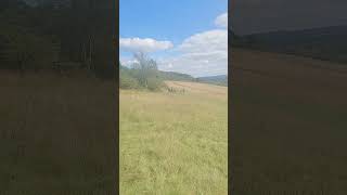 Newlands Corner Views and Greenery 1492024 [upl. by Nolte]