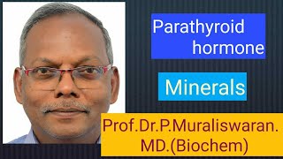 Parathyroid hormone Muralis Simplified Biochemistry [upl. by Daenis692]