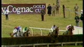 1986 Hennessy Cognac Gold Cup Handicap Chase [upl. by Brandea]