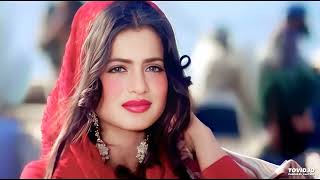 Gadar  Musafir Jaane Wale  Full Video  Sunny Deol  Ameesha Patel  Udit Narayan  Preeti Uttam [upl. by Ecikram]