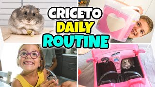 LA DAILY ROUTINE DEL NOSTRO CRICETO POLPETTA 24 ore pucciose [upl. by Anirbes]