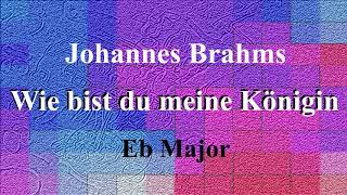 Wie bist du meine Königin by Johannes Brahms accompaniment in Eb Major [upl. by Ventre]