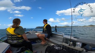 Coromandel Diving [upl. by Ireg]