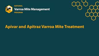 Varroa Apivar and Apitraz Treatment [upl. by Acemat]