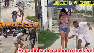 El perro Pitbull invisíble Pegadinha do cachorro invisível  the invisible dog prank [upl. by Dotson]