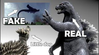 Godzilla Tail Walking Video Debunked [upl. by Nitsrik]