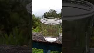 crazy experiment with milk🍀 experiment science water scienceexperiment fact consentgamer [upl. by Irret]