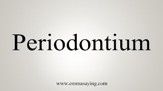 How To Say Periodontium [upl. by Lucilia]