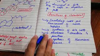 Steroid and Sterol  Classification of Sterol [upl. by Sanchez]