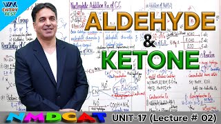 MDCAT  Aldehydes and Ketones  Unit 17  Lecture No2  Prof Wajid Ali Kamboh  WAK Entry Test [upl. by Sokem20]