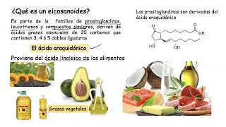 Procesos de la Hemostasia [upl. by Godfrey]