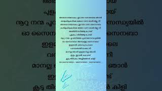 o sainaba malayalamlyrics trending [upl. by Millan]