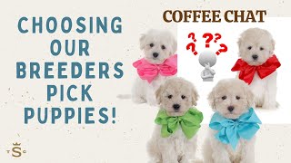 How we choose our Breeders Picks  Coffee Chat  Ep 25 [upl. by Nirrok]