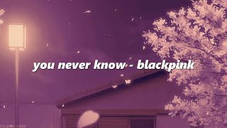 blackpink  you never know eng lyrics [upl. by Eetsud]