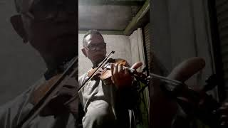 BUNGAN SANDAT MUSIK BALI VERSI BIOLA [upl. by Cadel19]