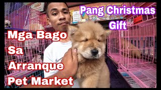 Arranque Pet Market Manila Price Update Dec16 2023 [upl. by Sage]