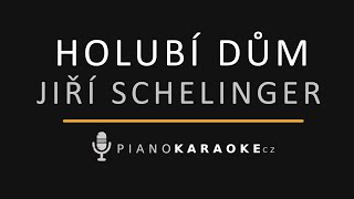 Jiří Schelinger  Holubí dům  Piano Karaoke Instrumental [upl. by Ydda199]