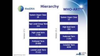 WHO Drug Dictionaries and ATC WHOART and MedDRA [upl. by Eissirhc393]