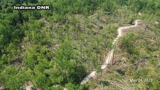 Several more trails open at McCormicks Creek State Park following last years tornado [upl. by Justino]