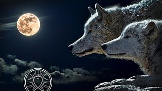 Native American Flute Music Meditation Music for Shamanic Astral Projection Healing Music [upl. by Mae332]